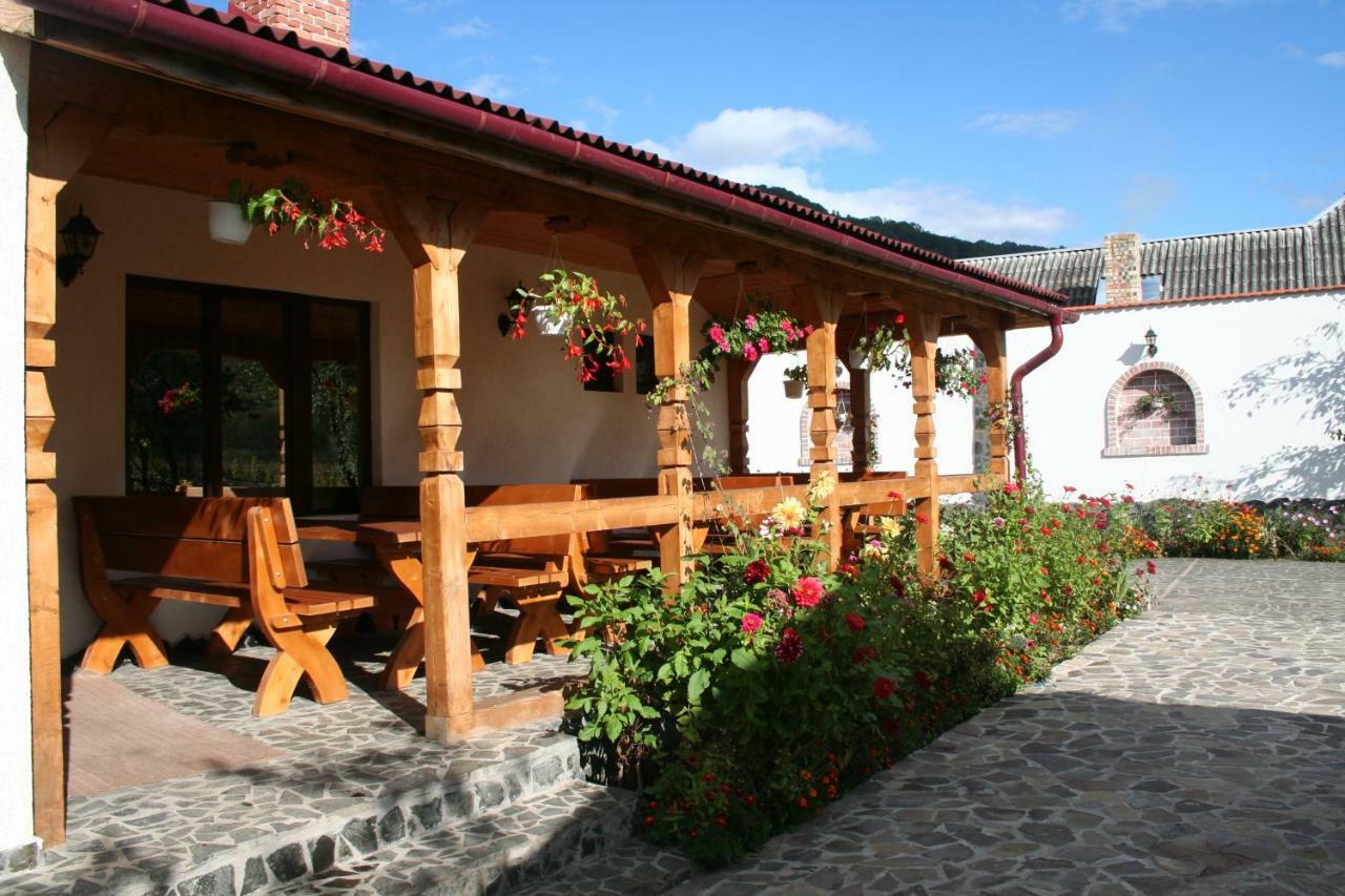 Cabana Iza Hotel Bîrsana Exterior photo